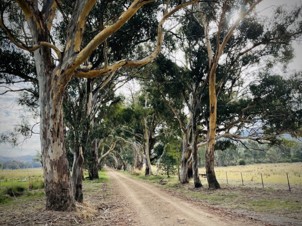 Riding to Little Mt Pilot