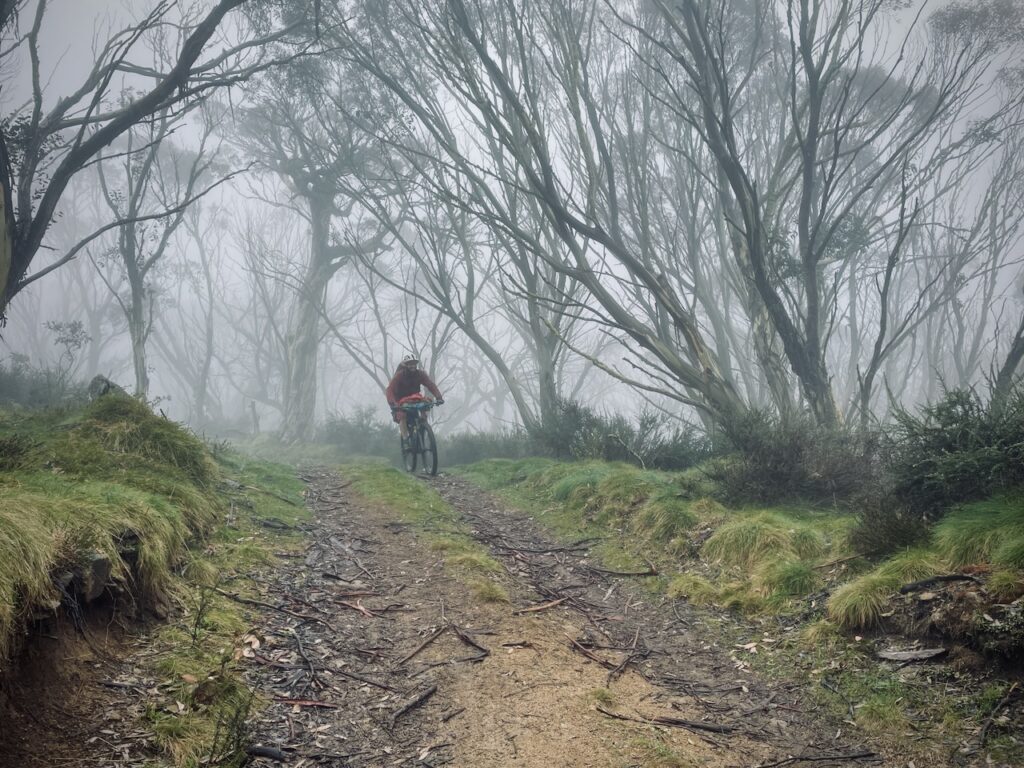 Bikepacking the Pilot Wilderness
