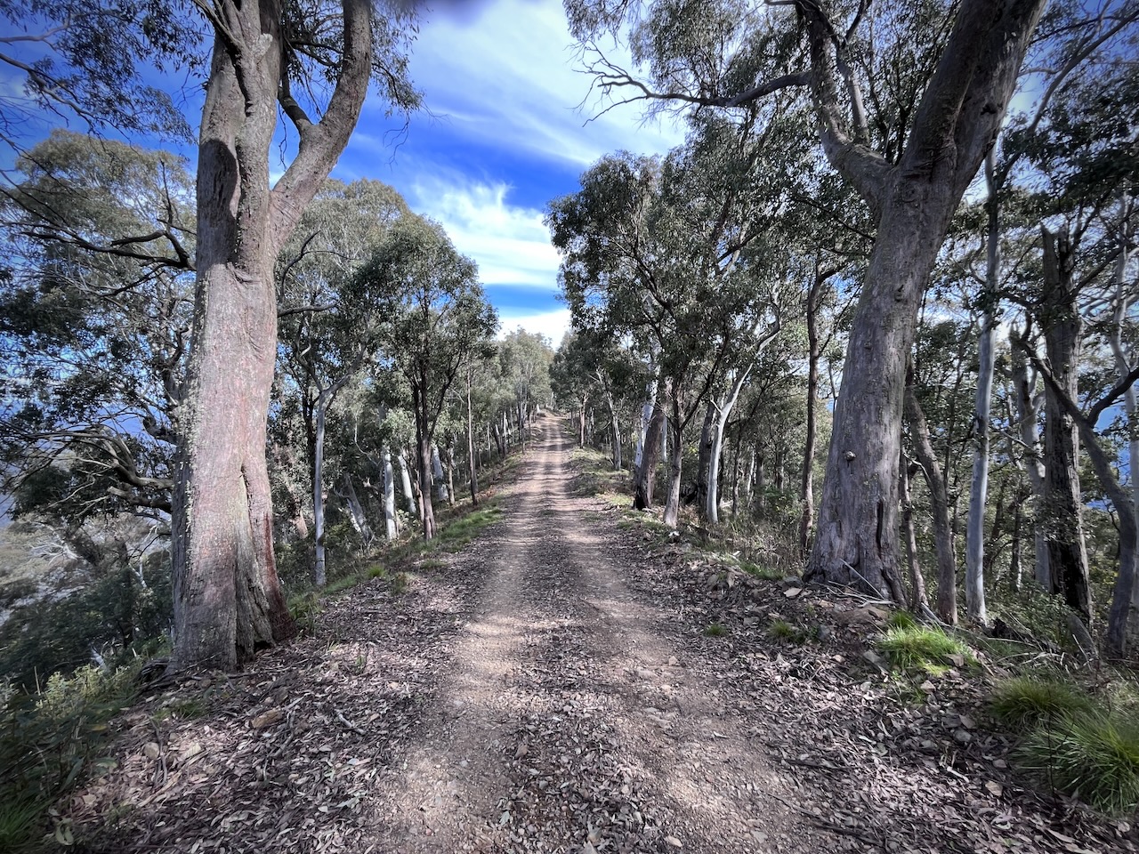 Gravel track, Alpine Pints and Pizzas